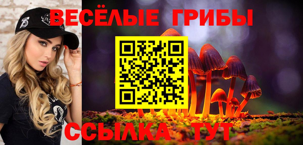 Псилоцибиновые грибы Cubensis Отрадное