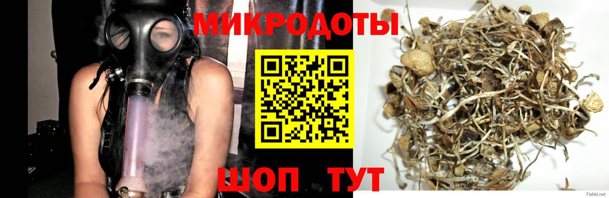 Псилоцибиновые грибы ЛСД  где продают наркотики  Вход с VPN  Отрадное  Галлюциногенные грибы MAGIC MUSHROOMS 